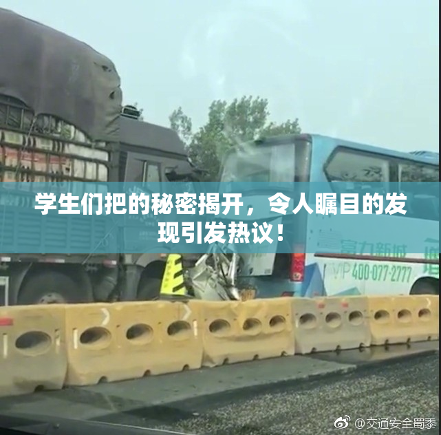 学生们把的秘密揭开，令人瞩目的发现引发热议！