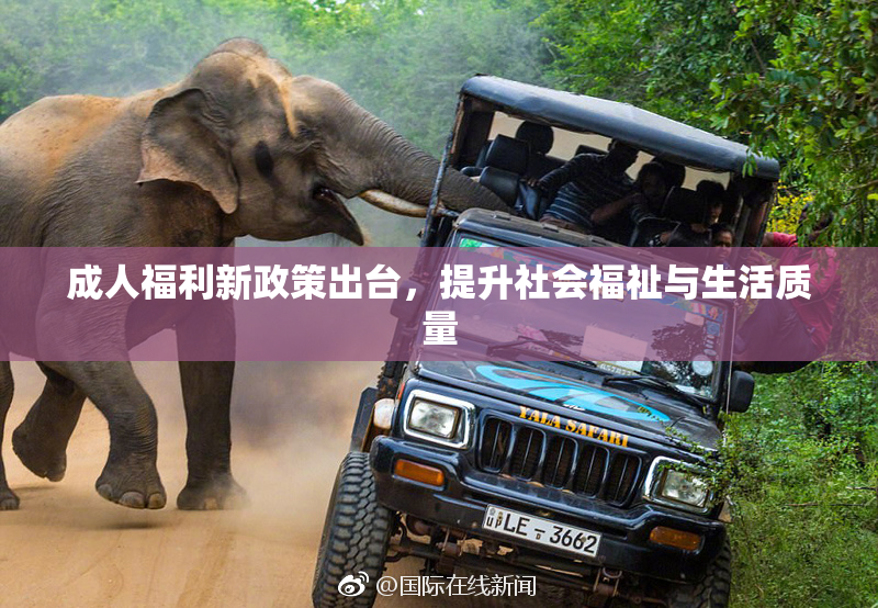 成人福利新政策出台，提升社会福祉与生活质量