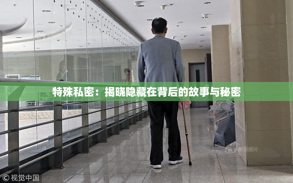 特殊私密：揭晓隐藏在背后的故事与秘密