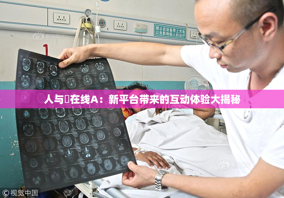 人与嘼在线A：新平台带来的互动体验大揭秘