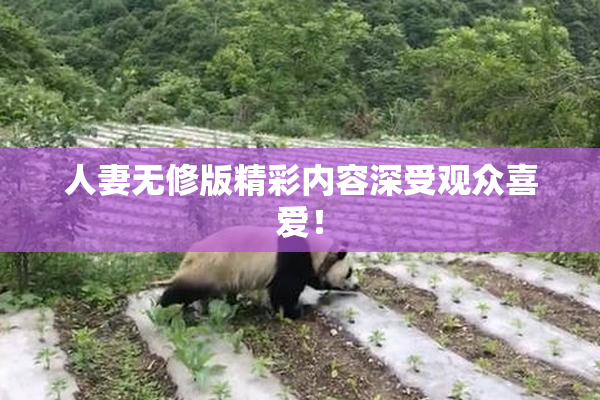 人妻无修版精彩内容深受观众喜爱！