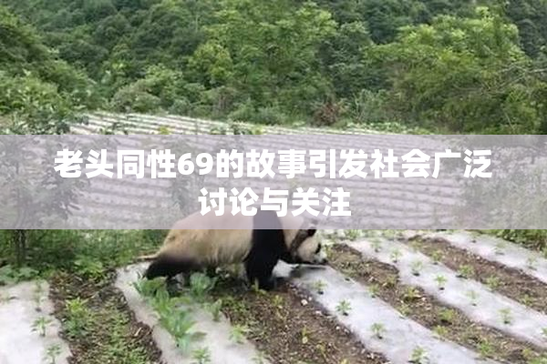 老头同性69的故事引发社会广泛讨论与关注