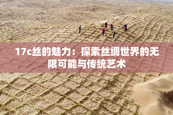 17c丝的魅力：探索丝绸世界的无限可能与传统艺术