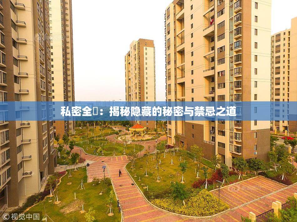 私密全婐：揭秘隐藏的秘密与禁忌之道