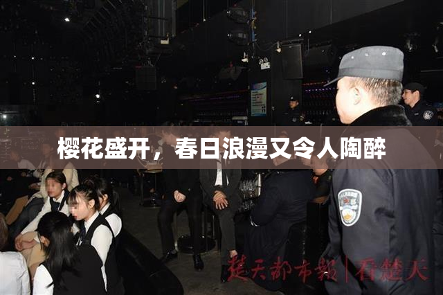 樱花盛开，春日浪漫又令人陶醉