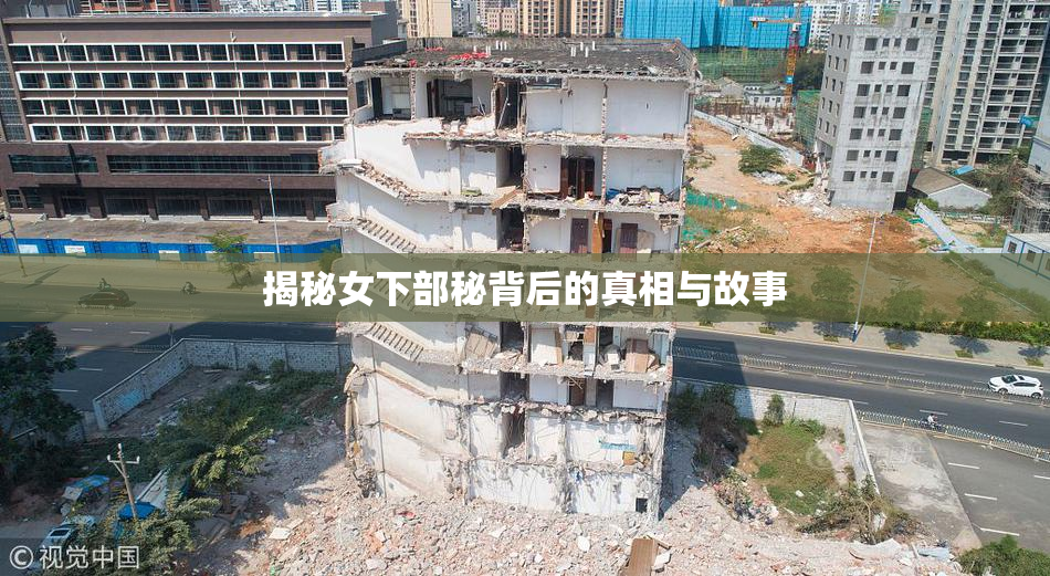 揭秘女下部秘背后的真相与故事