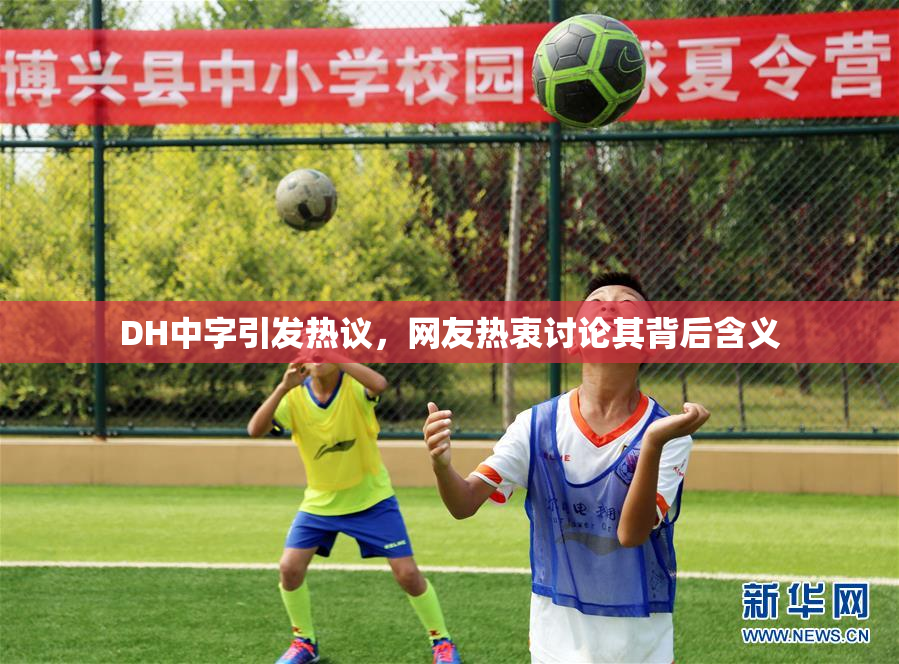DH中字引发热议，网友热衷讨论其背后含义