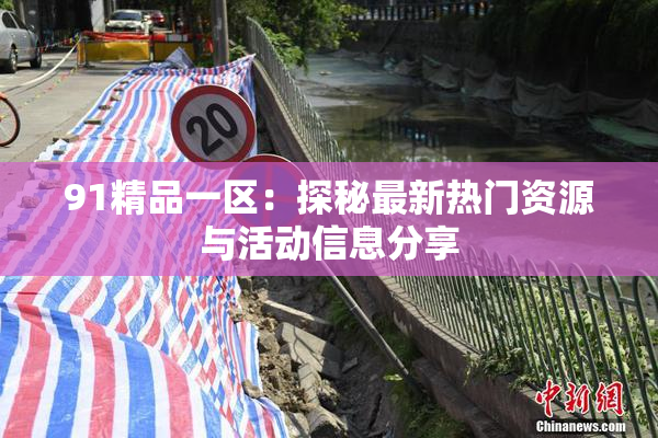 91精品一区：探秘最新热门资源与活动信息分享