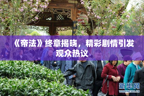 《帝法》终章揭晓，精彩剧情引发观众热议