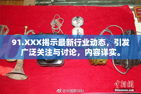 91.XXX揭示最新行业动态，引发广泛关注与讨论，内容详实。
