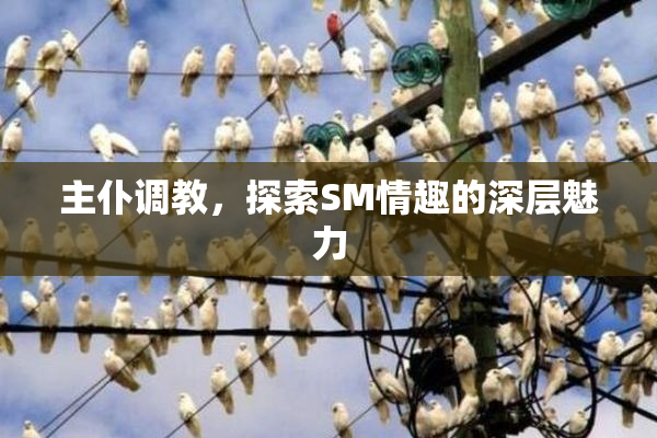 主仆调教，探索SM情趣的深层魅力