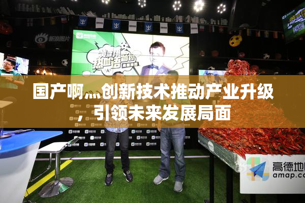 国产啊灬创新技术推动产业升级，引领未来发展局面