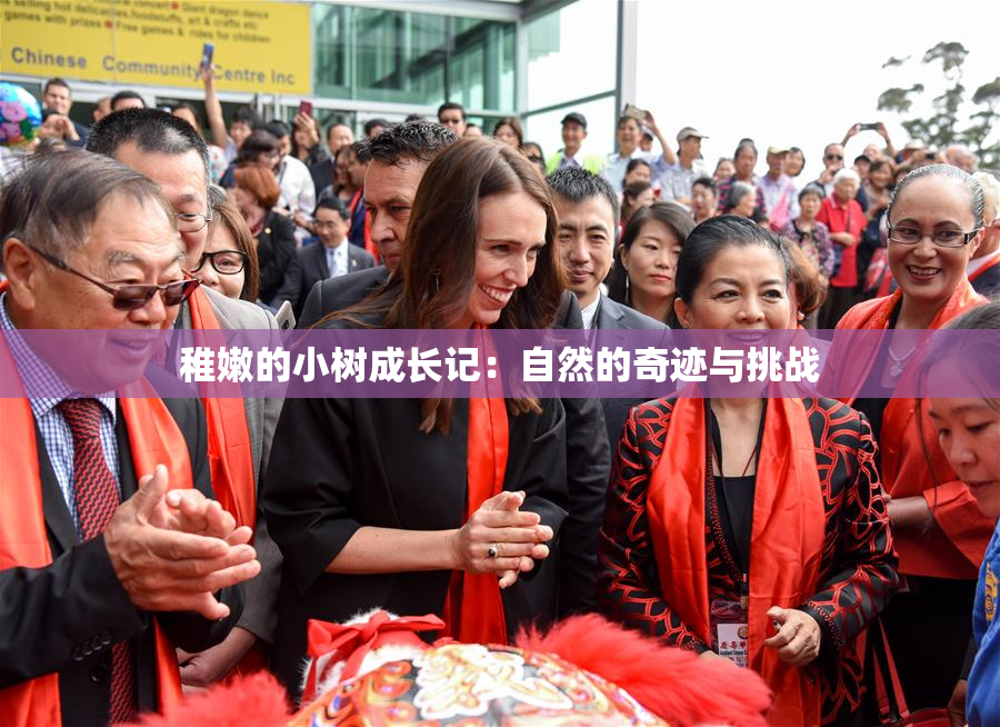 稚嫩的小树成长记：自然的奇迹与挑战