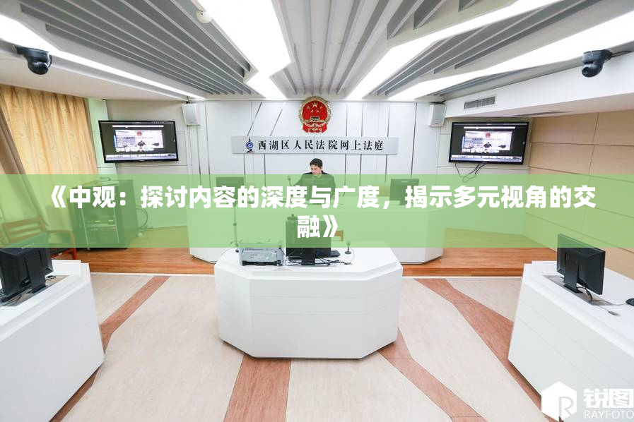 《中观：探讨内容的深度与广度，揭示多元视角的交融》