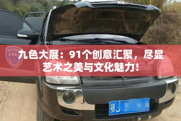 九色大展：91个创意汇聚，尽显艺术之美与文化魅力！
