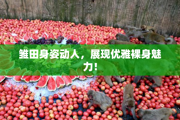 雏田身姿动人，展现优雅裸身魅力！