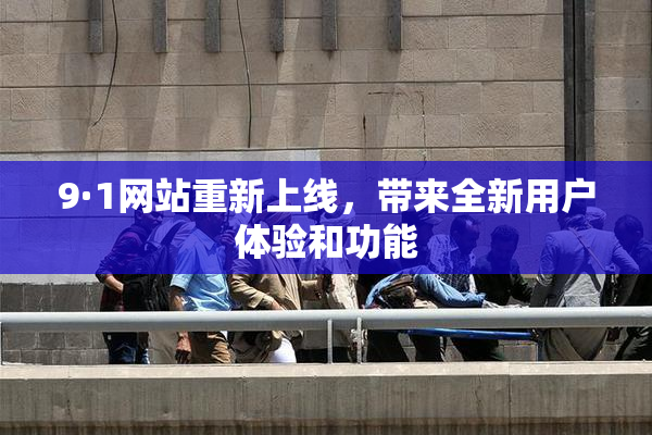 9·1网站重新上线，带来全新用户体验和功能
