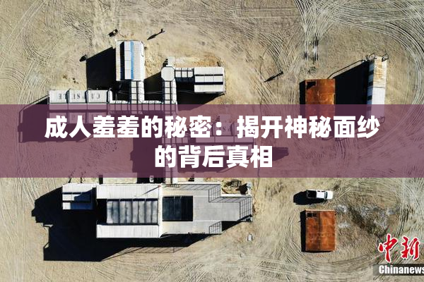 成人羞羞的秘密：揭开神秘面纱的背后真相