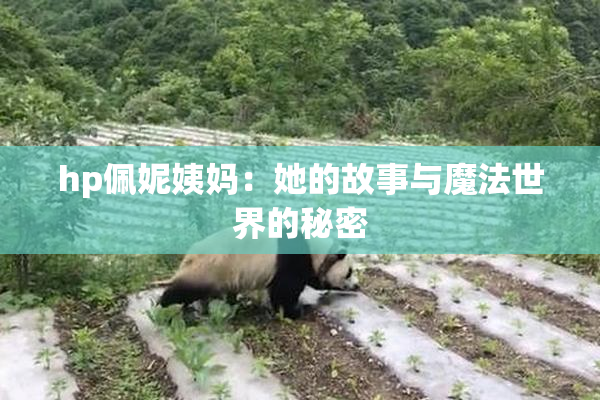 hp佩妮姨妈：她的故事与魔法世界的秘密