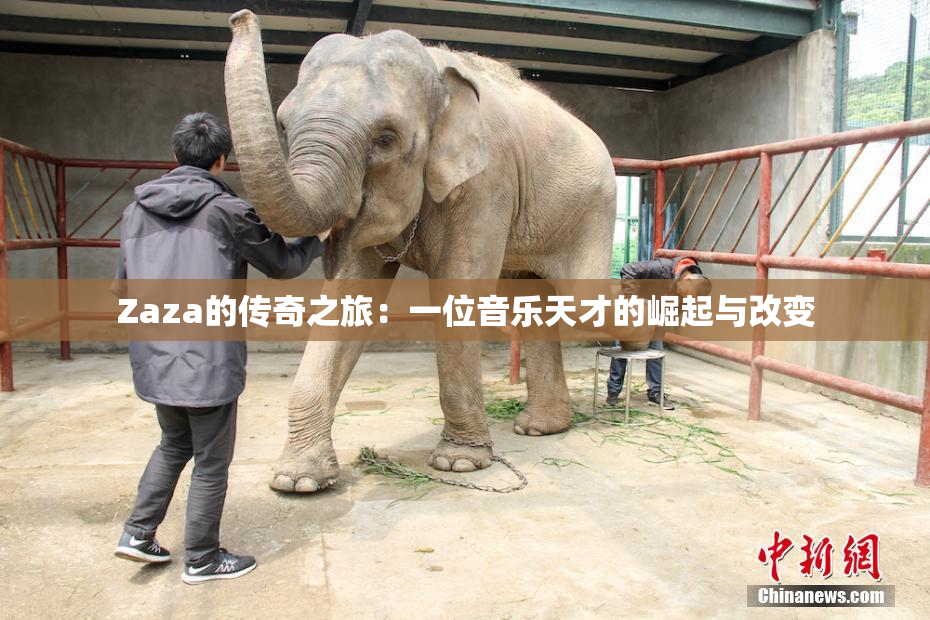 Zaza的传奇之旅：一位音乐天才的崛起与改变