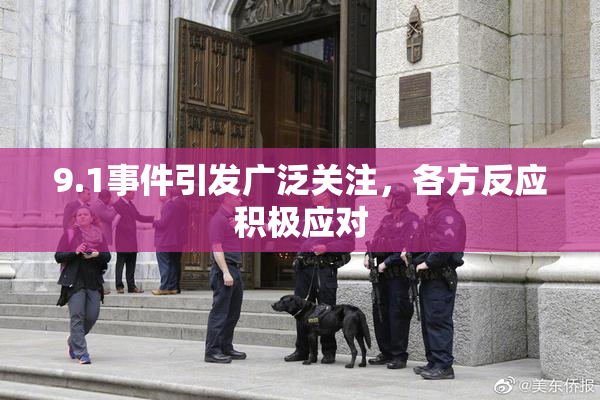 9.1事件引发广泛关注，各方反应积极应对