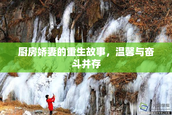 厨房娇妻的重生故事，温馨与奋斗并存