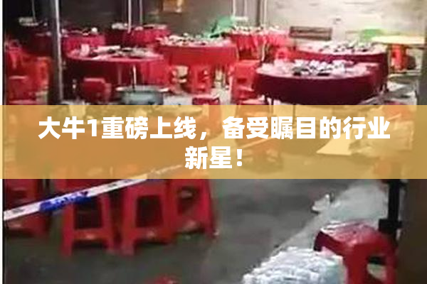 大牛1重磅上线，备受瞩目的行业新星！
