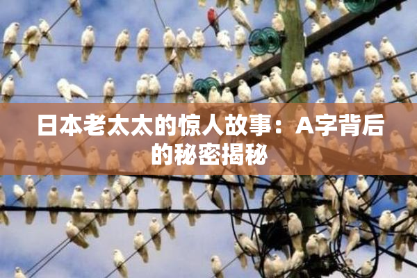 日本老太太的惊人故事：A字背后的秘密揭秘