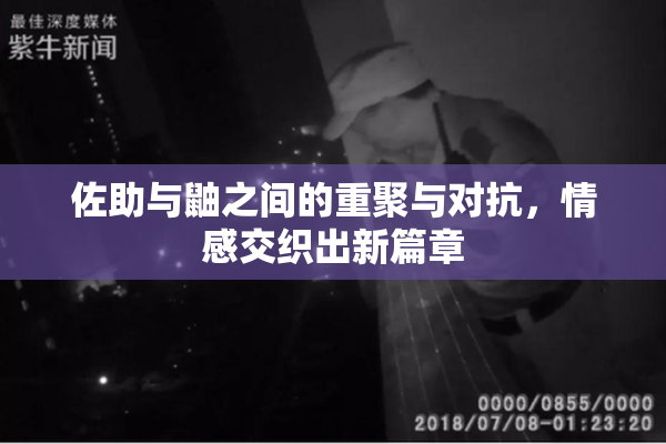 佐助与鼬之间的重聚与对抗，情感交织出新篇章