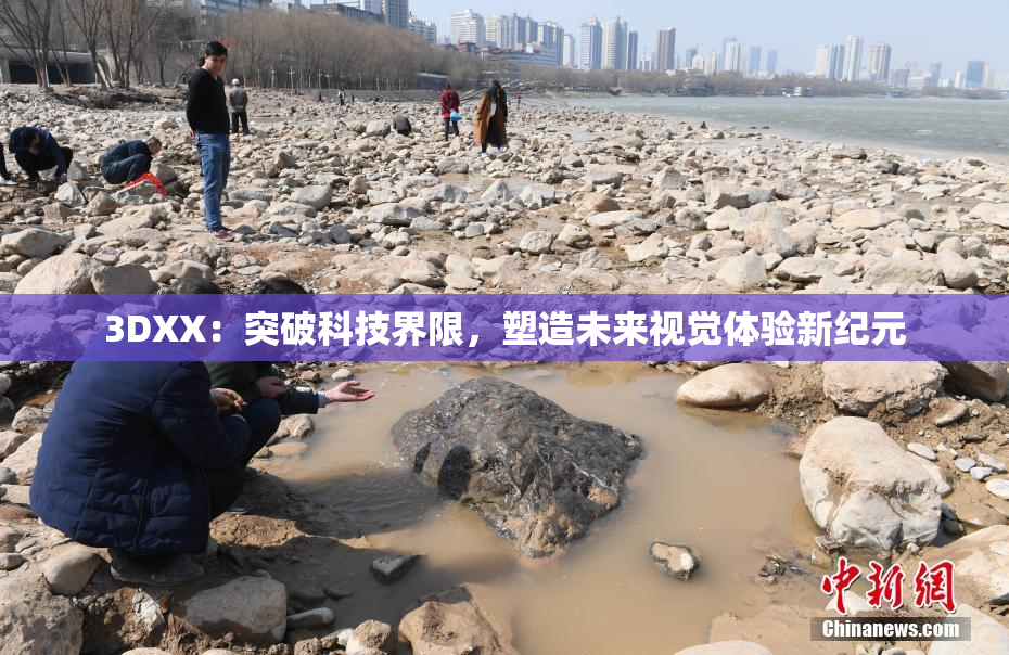 3DXX：突破科技界限，塑造未来视觉体验新纪元