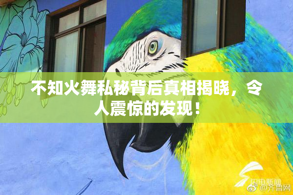 不知火舞私秘背后真相揭晓，令人震惊的发现！
