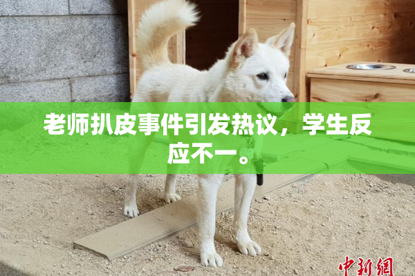 老师扒皮事件引发热议，学生反应不一。