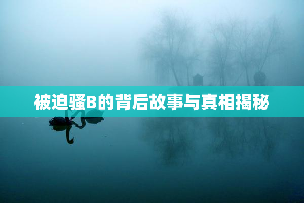 被迫骚B的背后故事与真相揭秘