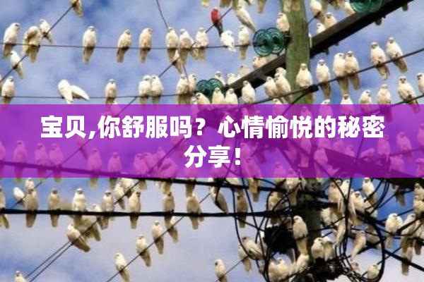 宝贝,你舒服吗？心情愉悦的秘密分享！