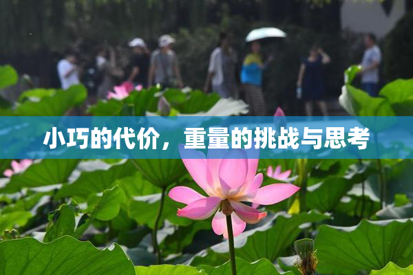 小巧的代价，重量的挑战与思考