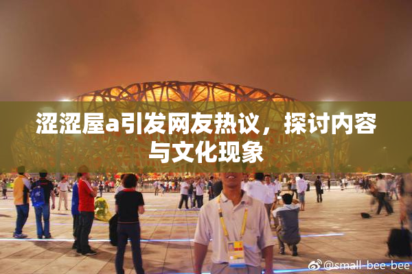 涩涩屋a引发网友热议，探讨内容与文化现象