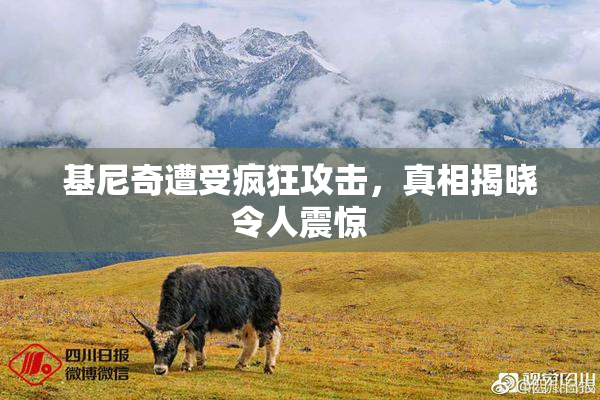 基尼奇遭受疯狂攻击，真相揭晓令人震惊
