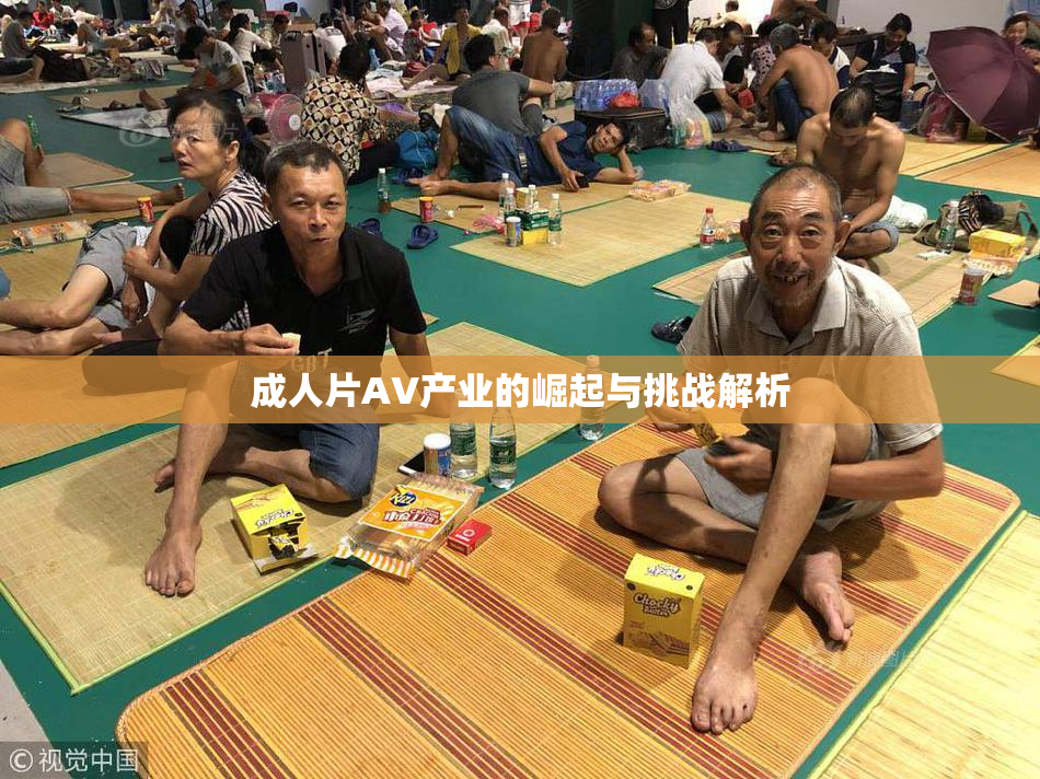 成人片AV产业的崛起与挑战解析