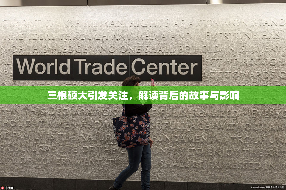 三根硕大引发关注，解读背后的故事与影响