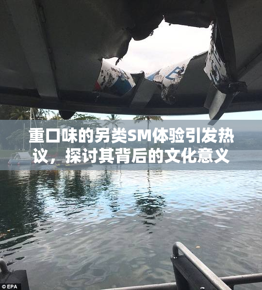 重口味的另类SM体验引发热议，探讨其背后的文化意义