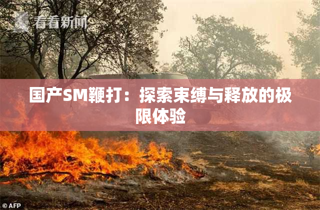 国产SM鞭打：探索束缚与释放的极限体验