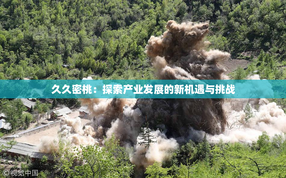 久久密桃：探索产业发展的新机遇与挑战