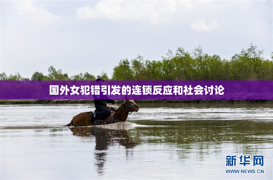 国外女犯错引发的连锁反应和社会讨论