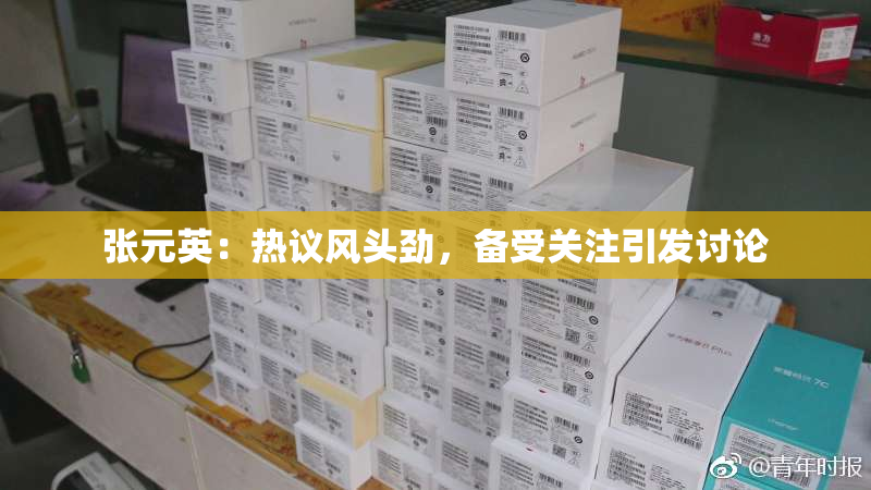 张元英：热议风头劲，备受关注引发讨论