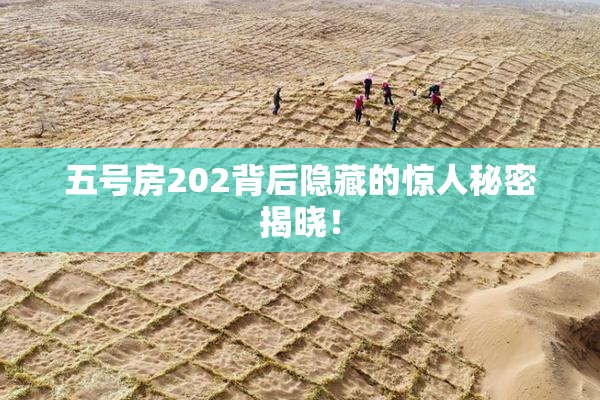 五号房202背后隐藏的惊人秘密揭晓！
