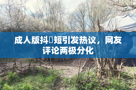 成人版抖抈短引发热议，网友评论两极分化
