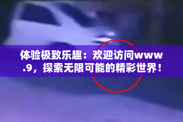 体验极致乐趣：欢迎访问www.9，探索无限可能的精彩世界！