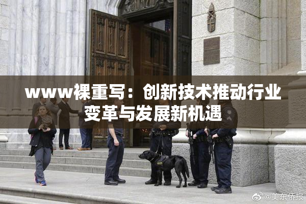 www裸重写：创新技术推动行业变革与发展新机遇
