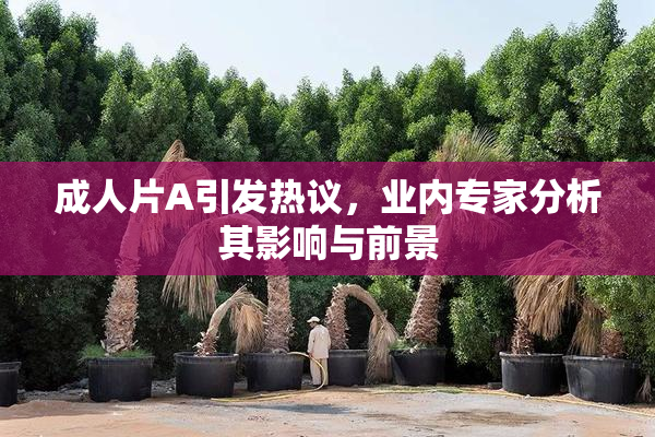 成人片A引发热议，业内专家分析其影响与前景