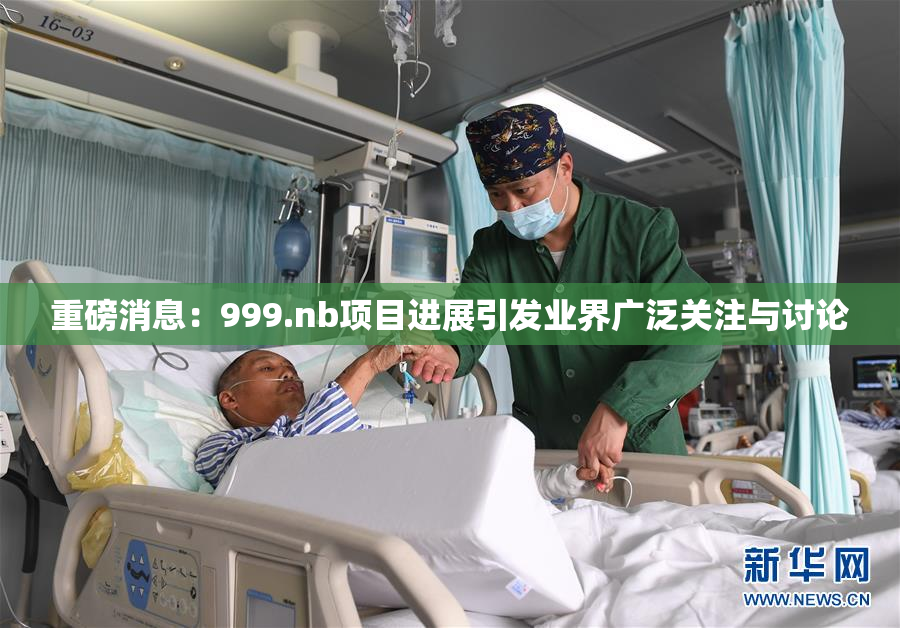 重磅消息：999.nb项目进展引发业界广泛关注与讨论